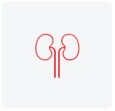 Nephrology